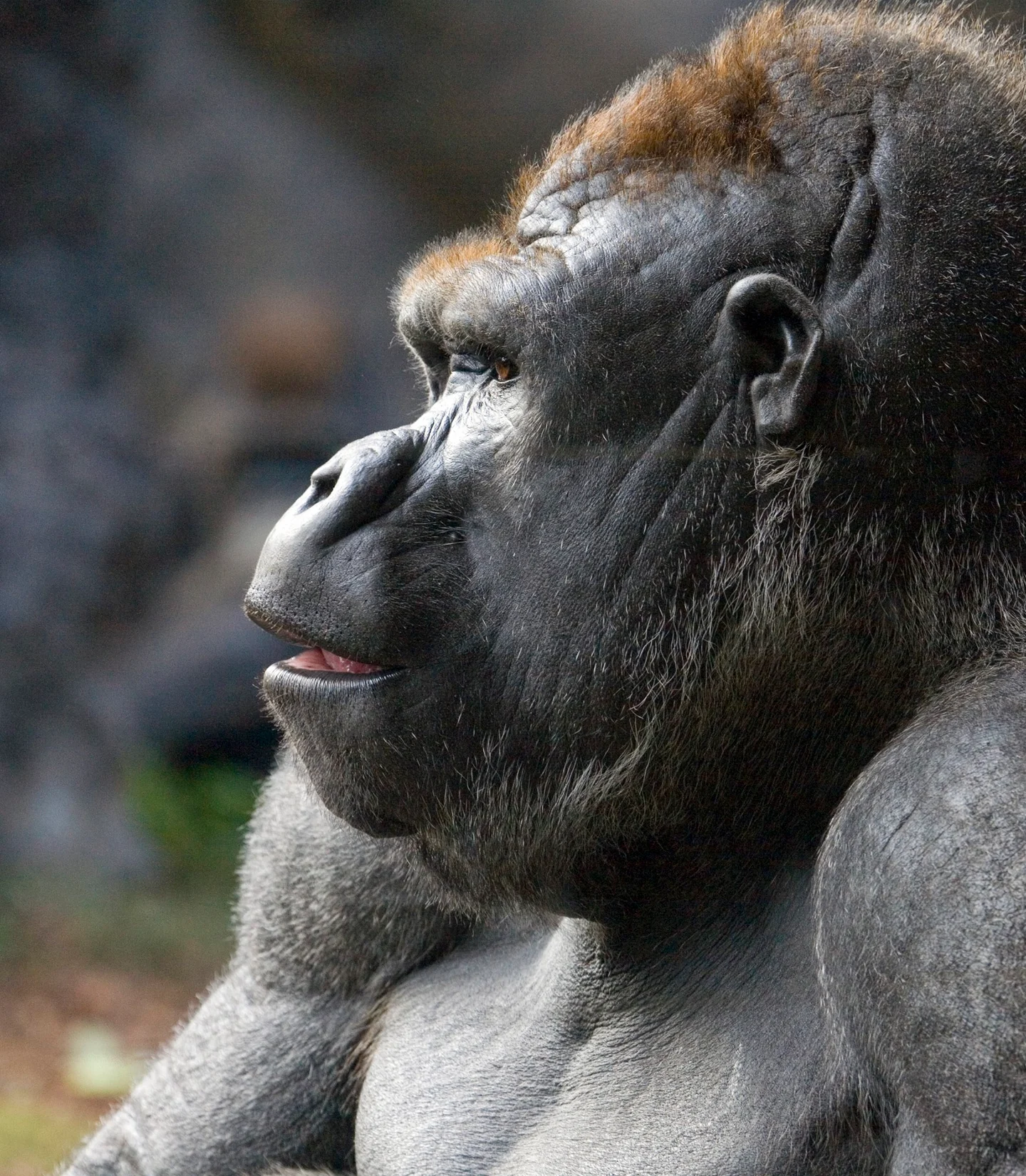 Lead image from Marc Pinter's nature photography collection.